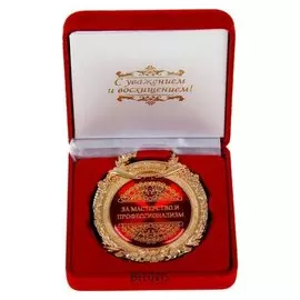 Медаль в бархатной коробке «За мастерство и профессионализм»