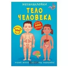 Меганаклейки. тело человека