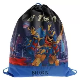 Мешок для обуви, 490 х 410 мм, сдс-53, мал "городской герой»