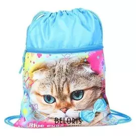 Мешок для обуви с карманом 420*330 мм, мо-20-2, "Голубоглазая кошка"