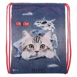 Мешок для обуви с карманом, 470 х 370 мм, оникс мо-26-1-2р, фиксатор, «Кот на джинсе»