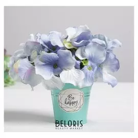 Металлическое кашпо для цветов Be Happy Every Day 5,5 × 5,5 см