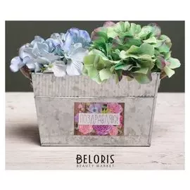 Металлическое кашпо для цветов «Поздравляю!», 20 × 12 × 12 см