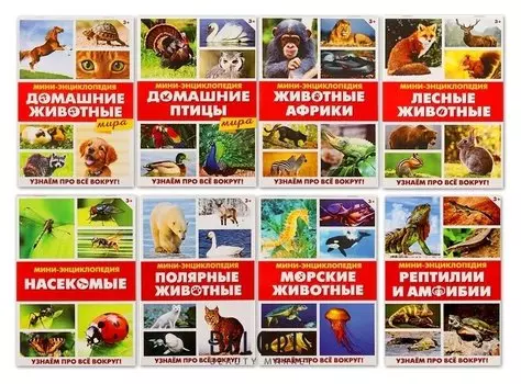 Мини-энциклопедии Мир животных