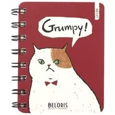 Мини-блокнот Кот