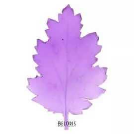 Молд "Универсальный (Хризантема)"