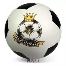 Мяч Чемпион