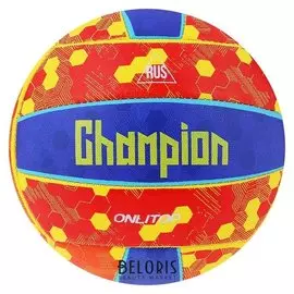 Мяч волейбольный Champion размер 5