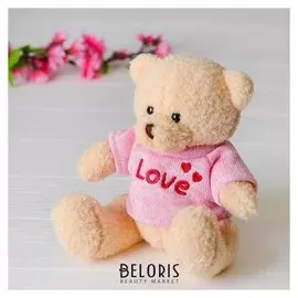 Мягкая игрушка Медведь 20 см кофточка с надписью
