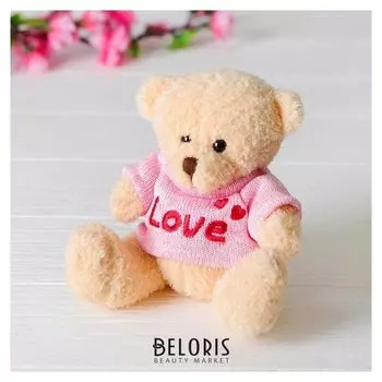 Мягкая игрушка Медведь кофточка с надписью