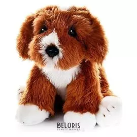 Мягкая игрушка Собака Кавапу, 30 см