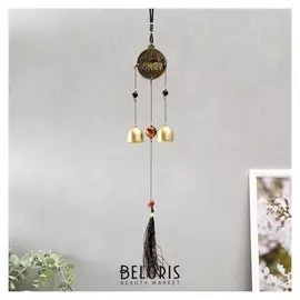 Музыка ветра металл "Слоны на монете" 2 колокольчика 37 см