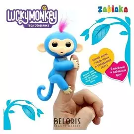Музыкальная игрушка «Мартышка» Lucky Monkey
