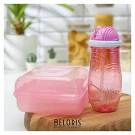 Набор 2 предмета: ланч-бокс, бутыль