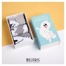 Набор детских носков Kaftan "Собачка" 3 пары, р-р 14-16