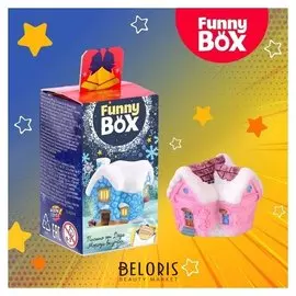 Набор для детей Funny Box Домик набор: письмо, инструкция