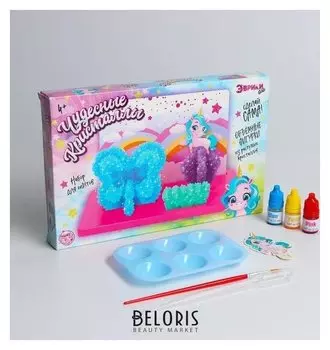 Набор для опытов «Чудесные кристаллы», пони