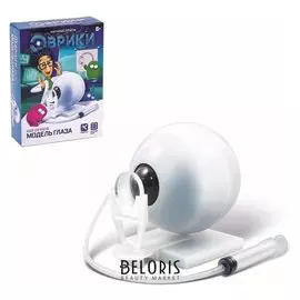 Набор для опытов Модель глаза