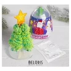 Набор для опытов «Новогодние кристаллы»