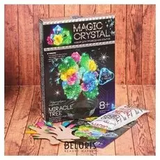 Набор для проведения опытов Нерукотворное искусство