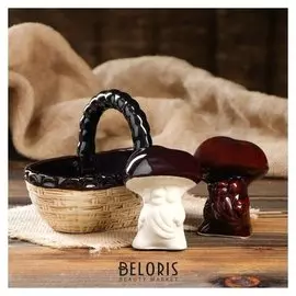 Набор для специй "Лукошко с грибами" 3 предмета, 0,4/ 0,1 л