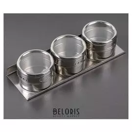 Набор для специй «Магнит», 3 шт, на подставке