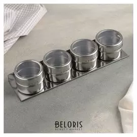 Набор для специй «Магнит», 4 шт, на подставке