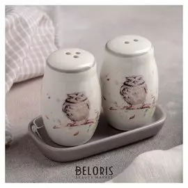 Набор для специй «Совушка», 130 мл, 2 шт: солонка и перечница, на подставке