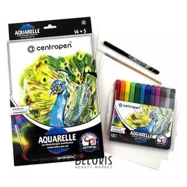 Набор для творчества Centropen 9383: акв флом 12цв 1-9мм+кисть линер и 5л бум А4 993831401