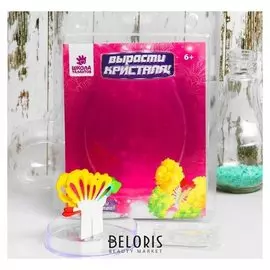 Набор для выращивания кристалла Бабочка