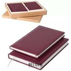 Набор GALANT "Стандарт" (ежедневник А5, телефонная книга А5), бордо
