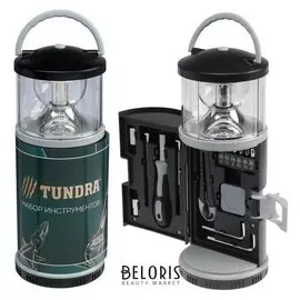 Набор инструментов Tundra, подарочный пластиковый кейс "Фонарь", 15 предметов