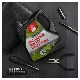 Набор инструментов в канистре "Настоящего мастера на все руки", 21 в 1