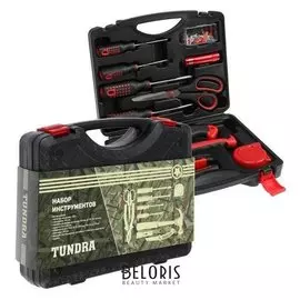 Набор инструментов в кейсе Tundra, подарочная упаковка, универсальный, 11 предметов