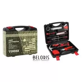 Набор инструментов в кейсе Tundra, подарочная упаковка, универсальный, 46 предметов