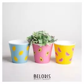 Набор кашпо 3 в 1 «Фрукты», 0,8 л