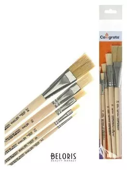 Набор кистей Щетина 5 штук (плоские №: 2, 6, 10, 16, 24), деревянная ручка