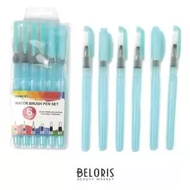 Набор кистей, синтетика, каллиграфических, 6 штук, с поршневым механизмом