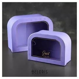 Набор коробок 2 в 1, 24 х 18,5 х 10 - 20 х 14,5 х 8,5 см