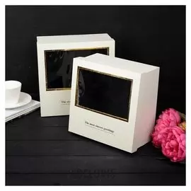 Набор коробок 2 в 1 с окном, 25,5 х 25,5 х 12 - 23,5 х 23,5 х 11 см