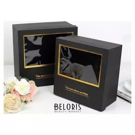 Набор коробок 2 в 1 с окном, 25,5 х 25,5 х 12 - 23,5 х 23,5 х 11 см