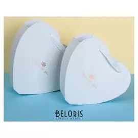 Набор коробок 2в1, 26 х 27 х 10 - 22 х 24 х 8 см