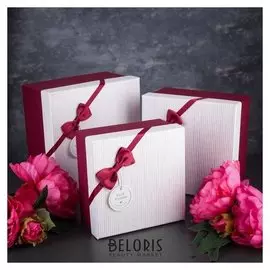 Набор коробок 3 в 1, 21 х 21 х 12,3 - 17 х 17 х 9,3 см