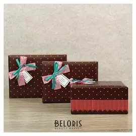 Набор коробок 3 в 1, 21 х 16,5 х 10,5 - 16 х 12 х 8 см