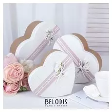 Набор коробок 3 в 1, 22,2 х 19,5 х 9 - 16,2 х 14,3 х 6 см