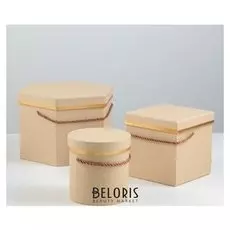 Набор коробок 3 в 1, 22,5 X 22,5 X 15 - 12 х 12 х 12 см
