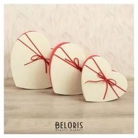 Набор коробок 3 в 1, 22 х 21 х 9 - 19 х 17 х 5 см