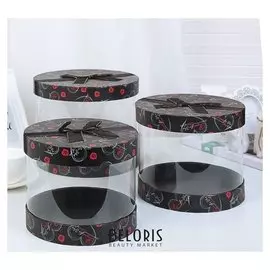 Набор коробок 3 в 1, 23 х 18 - 19 х 15 см