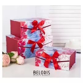 Набор коробок 3 в 1, 25 х 18 х 12 - 19 х 14 х 8 см