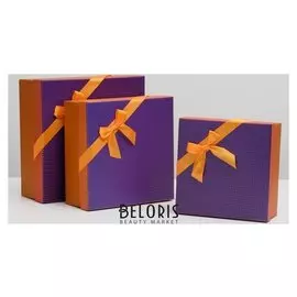 Набор коробок 3 в 1 "Фиолетовая крошка", 21х 21 х 9 - 28 х28 х 11 см